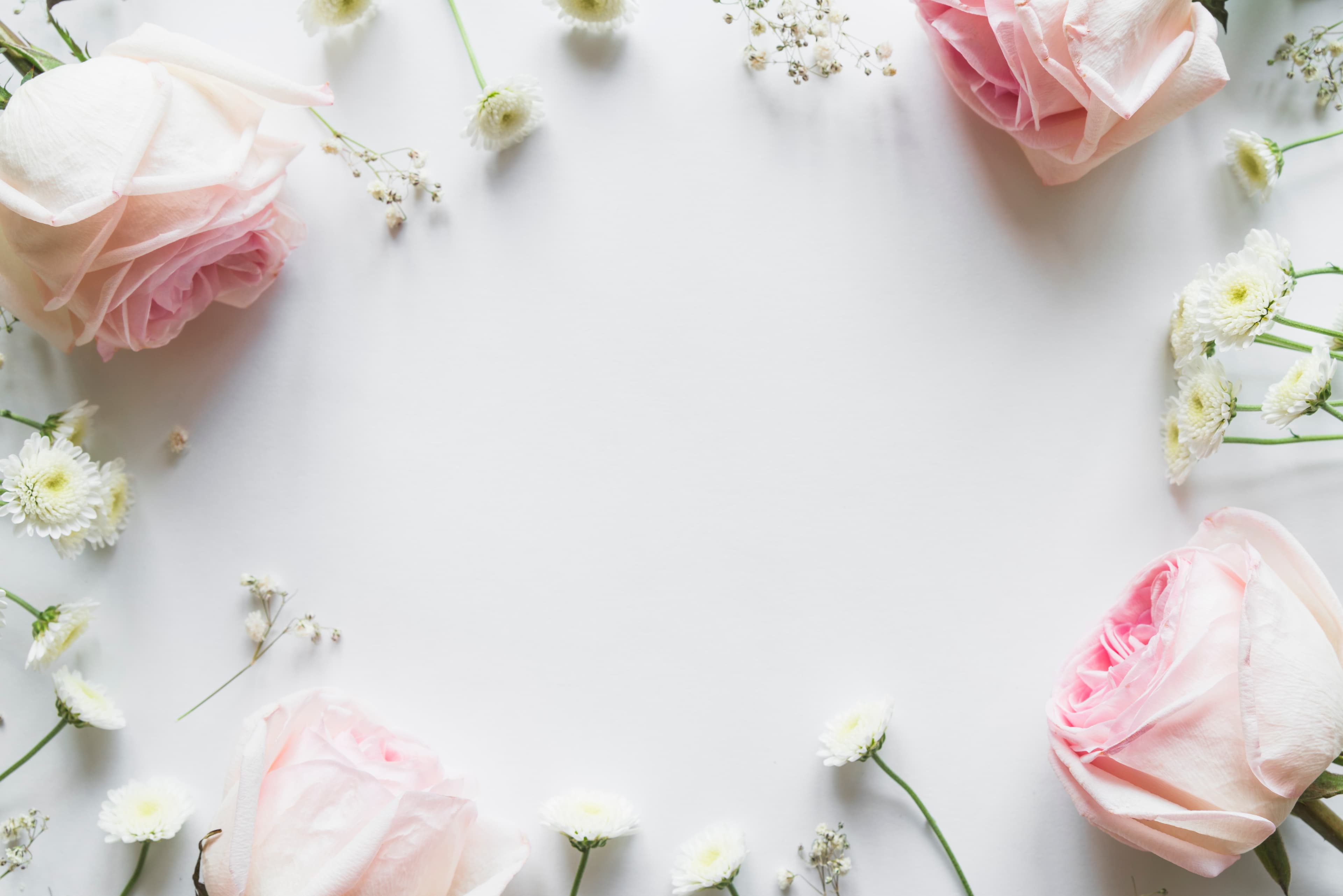 Interface Invités Theme